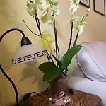 Apartment Carducci *