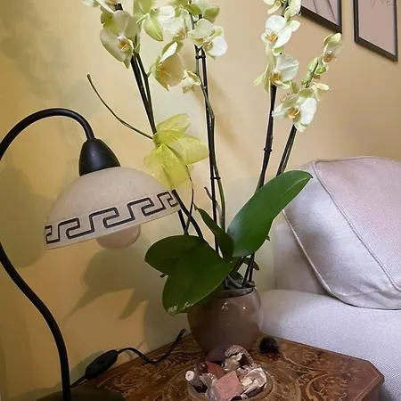 Apartmán Carducci *