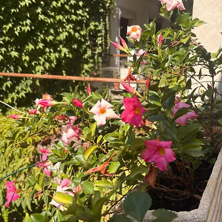 Carducci Апартаменты Гориция